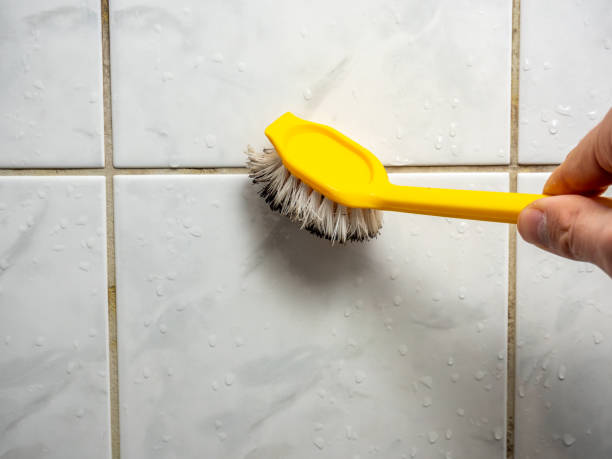 Best Industrial Mold Remediation in Stro Valley, CA