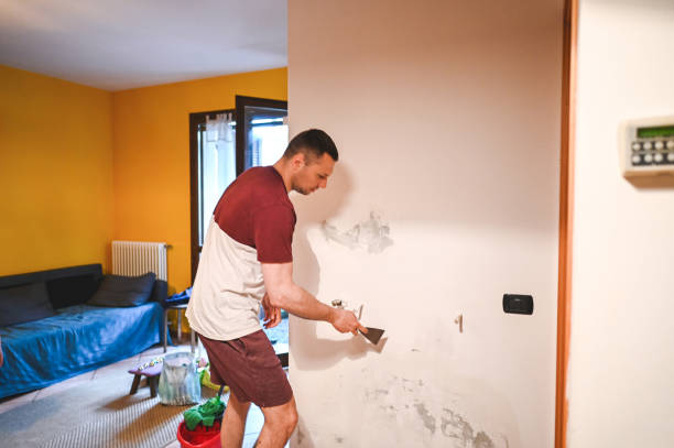 Best Localized Mold Remediation (e.g., coastal areas, humid climates) in Stro Valley, CA